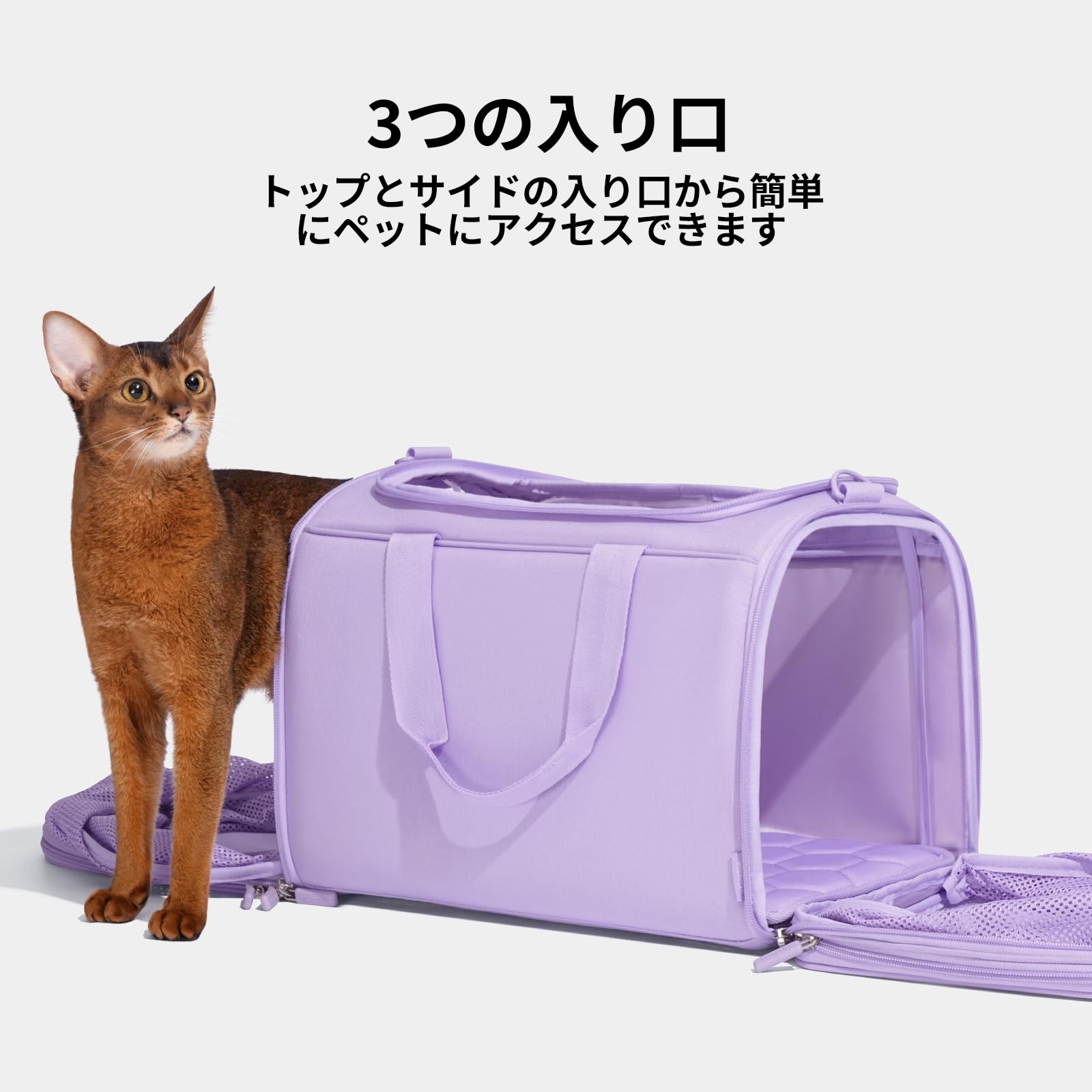 Amazon.co.jp: VETRESKA ベトレスカ バイオレット ペット キャリー