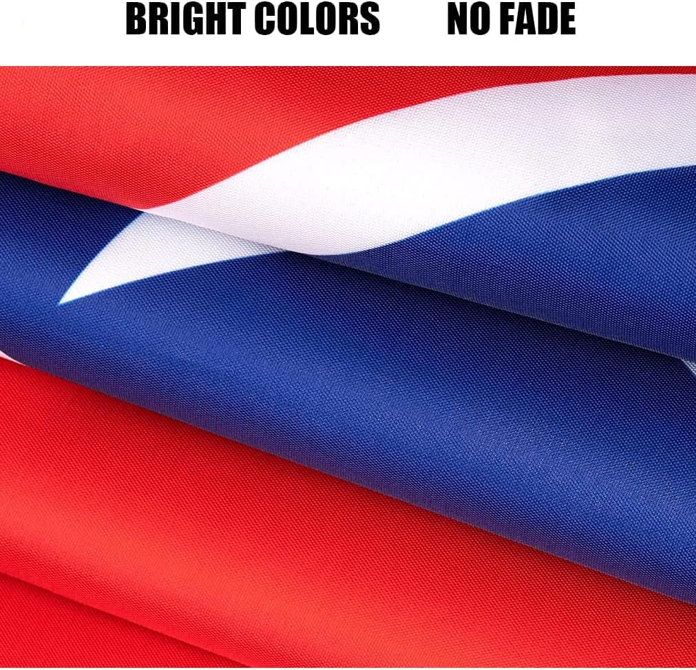 Tennessee Flag Outdoor 3x5 Ft Double Sided Heavy Duty Polyester Tennessee State Flag Long Lasting 4 Rows Hemming TN Flags with 2 Brass Grommets