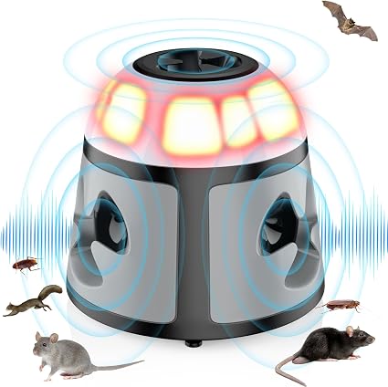 Amazon Product