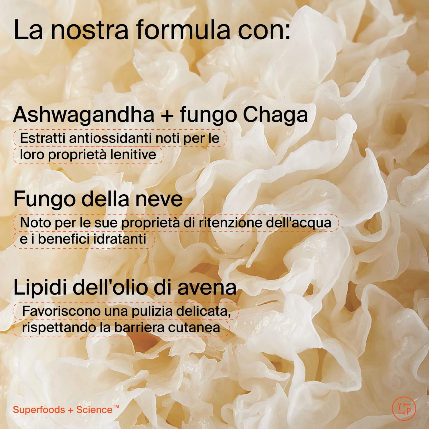 Youth To The People Supershroom Cleanser Detergente Viso Quotidiano, Lenisce le Irritazioni, Nutre la Pelle, Non Comedogenico, Struccante Delicato, Oftalmologicamente Provato
