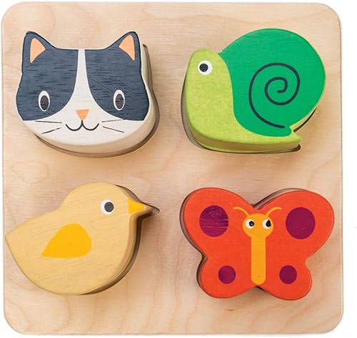 Tender Leaf Toys - Bandejas sensoriales - Bloques para bebés, clasificador de formas, juguete de clasificación de identificación de formas STEM para