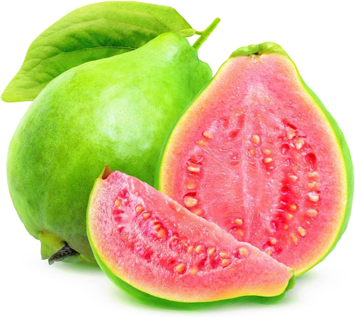 See full amazon price history chart for SRI SAI FORESTRY Guava Fruit Tree Seeds for Planting - Exotic and Delicious Tropical Fruit Seeds - 100 Seeds SRI SAI FORESTRY Guava Fruit Tree Seeds for Planting - Exotic and Delicious Tropical Fruit Seeds - 100 Seeds (B0B61X4N36) Amazon Price History, Amazon Price Tracker