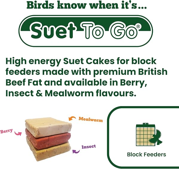 Suet To Go Mealworm Suet Block Wild Bird Treat, 300 g ( Pack of 10) (Packaging may vary) - 2
