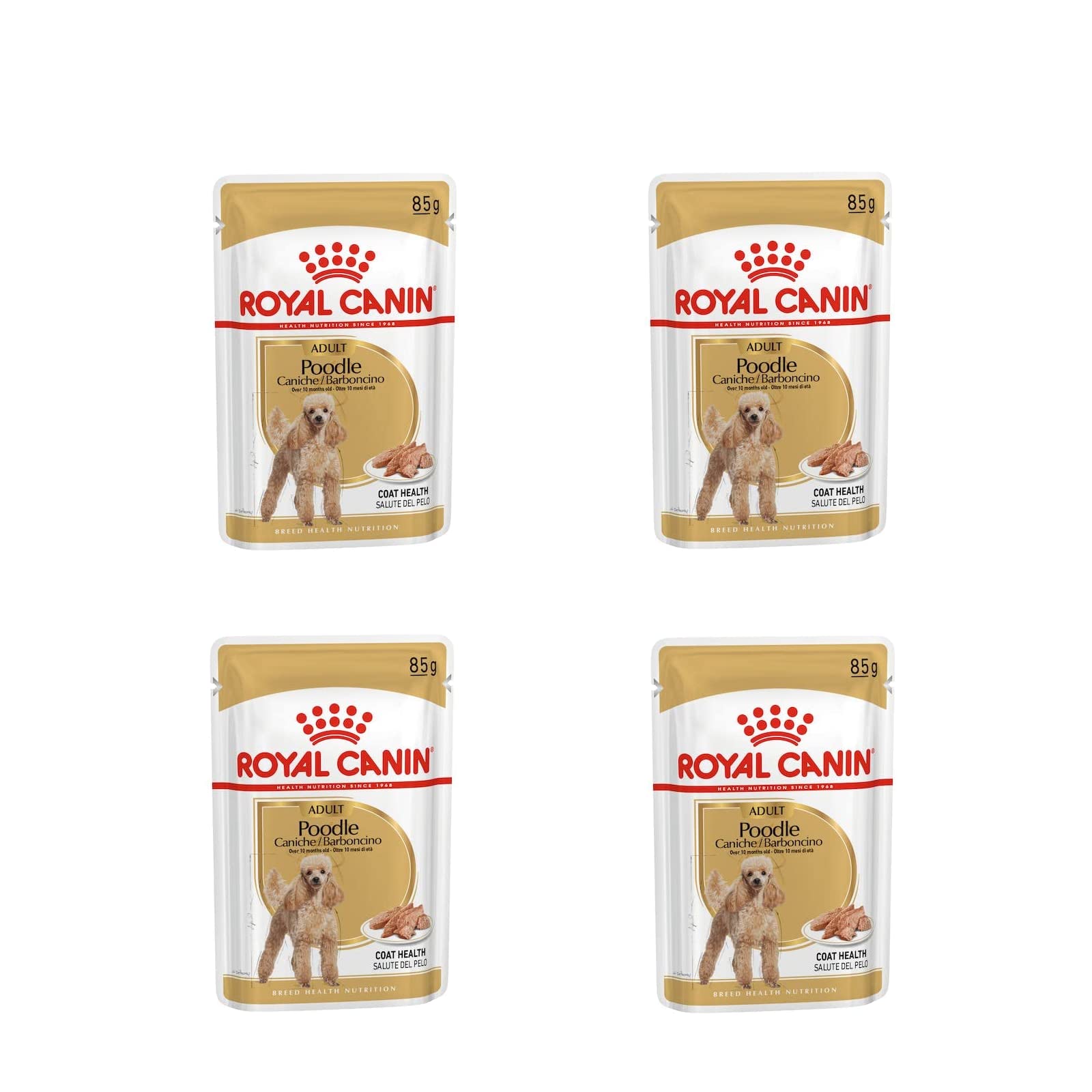 Royal Canin Poodle Adult | 4er Pack | 4 x 12 x 85 g | Nassfutter für ausgewachsene Pudel | Zur Unterstützung des Fells | Optimale tägliche Ernährung | Ab dem 10. Lebensmonat