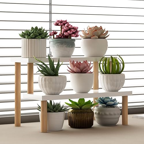 Miniatura 10 de Tovacu Estante para plantas de alféizar de ventana, estante de organización y almacenamiento de escritorio de 3 niveles, estante de almacenamiento y