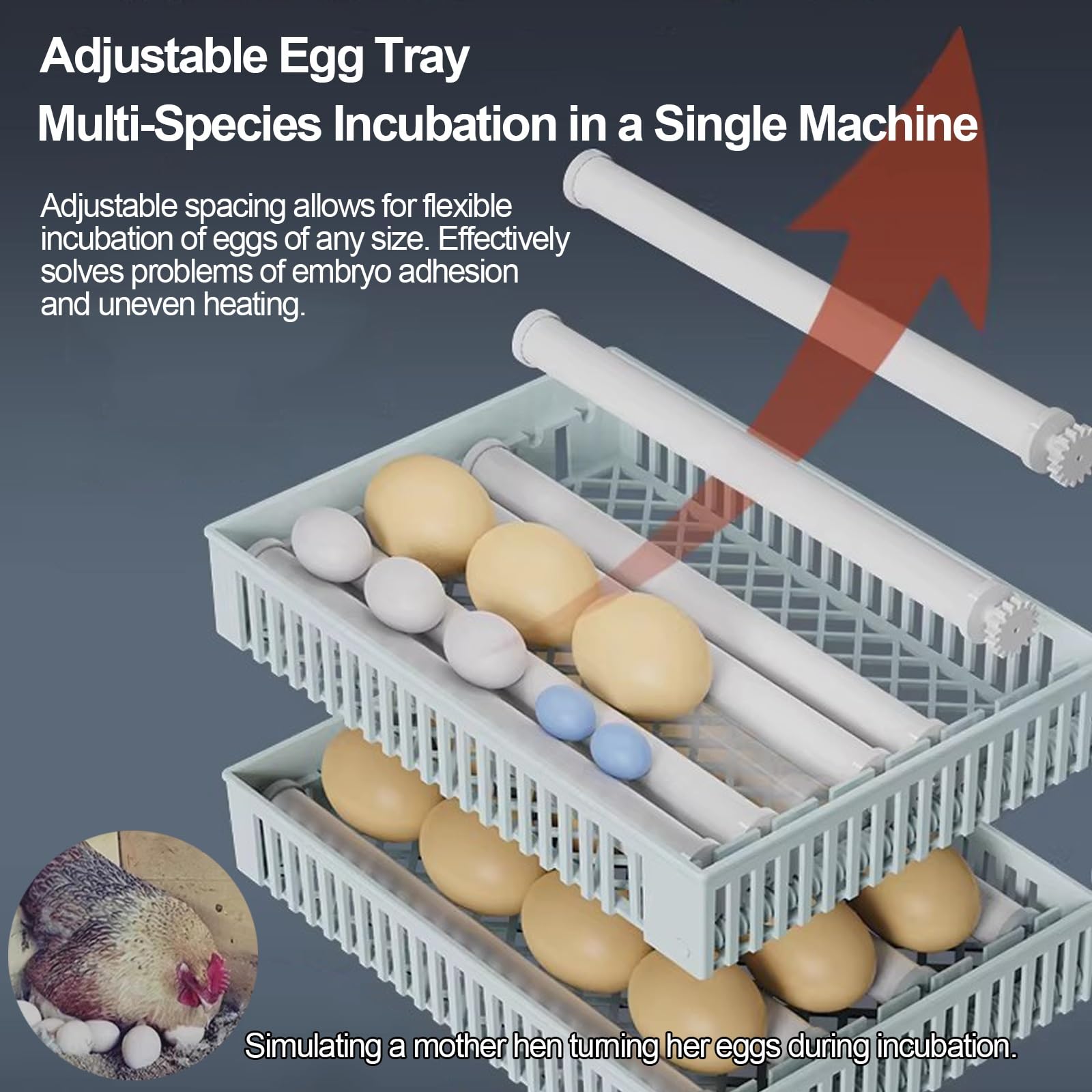 Incubadora de Huevos Automática, Eclosionadora Digital con Control de Temperatura y Humedad, para Gallina, Pato, Codorniz y Paloma(50 Eggs)