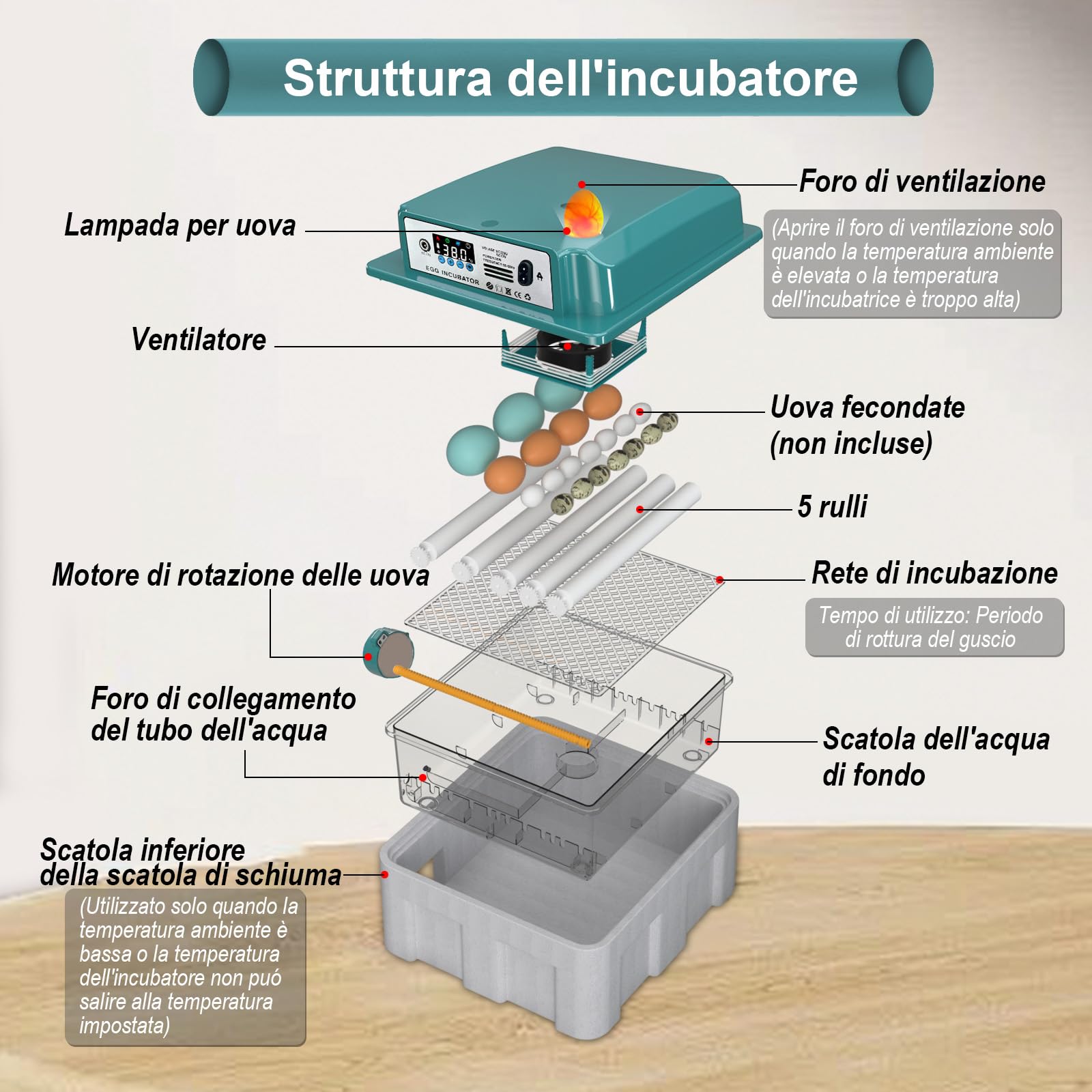 CoInceptus Incubatrice per Uova Automatica, Incubatrice da 12-16 Uova con Tornitura Automatica delle Uova e Umidificazione Automatica, Incubatrice per Uova di Gallina, Quaglia, Anatra