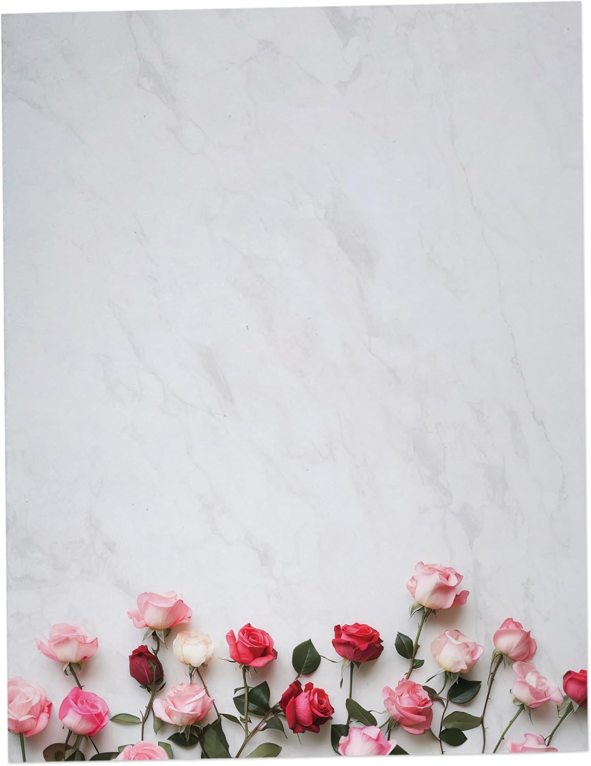 Line of Roses Floral Love Stationary Paper - 60 Sheets Pretty Letter Paper for Inkjet/Laser Printer - Great for Anniversary, Valentine's Day, Weddings, Poems