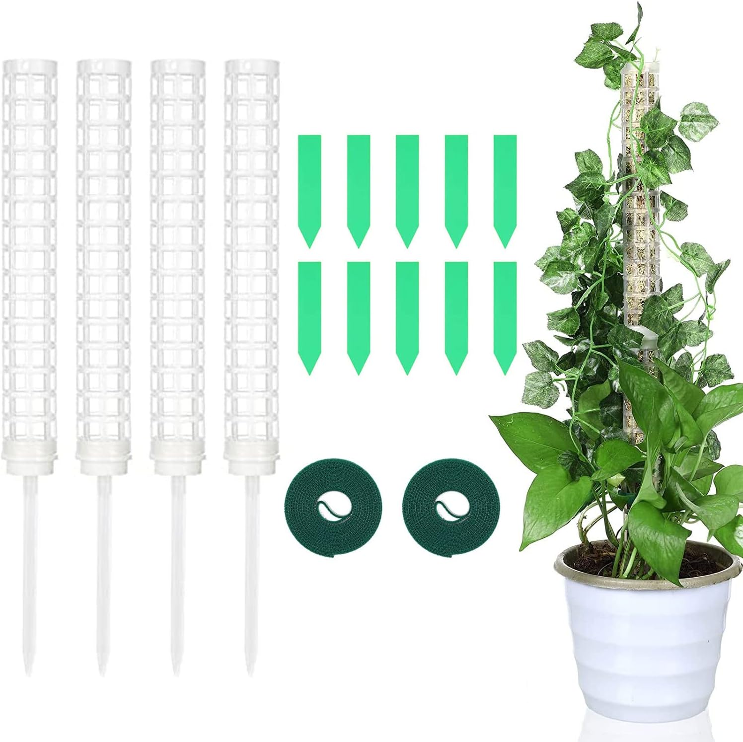 Frunimall Monstera Lot De 6 Bâtons De Mousse Pour Plantes D'intérieur En Plastique Pour Monstera