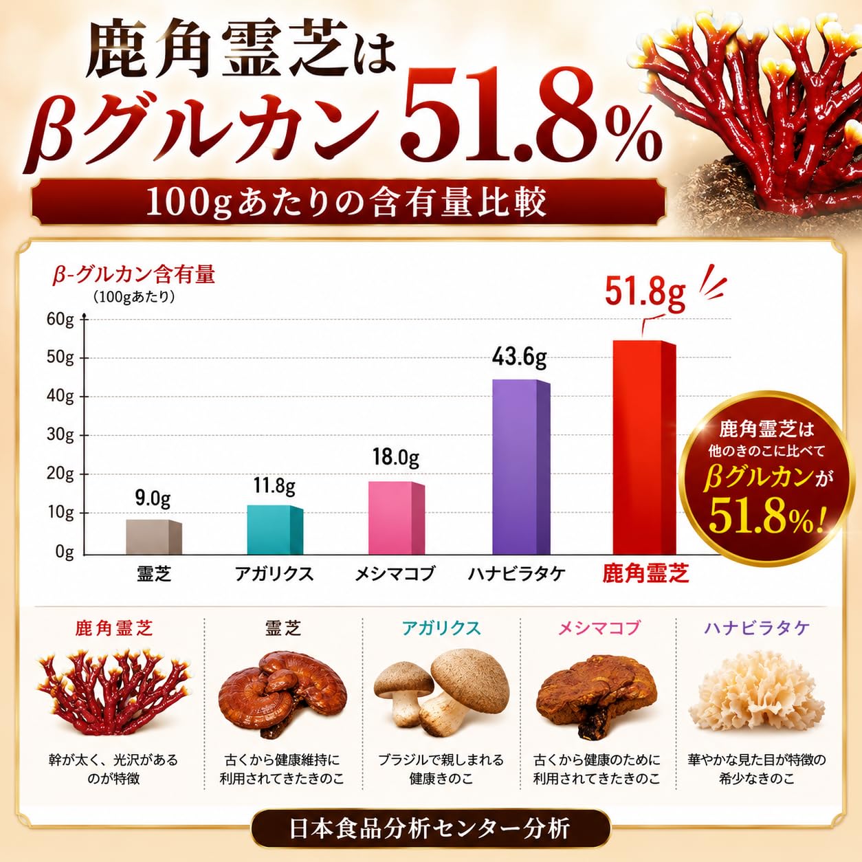 Amazon.co.jp: 『宝寿仙』熊本県産 幻 鹿角霊芝 ろっかくれいし最先端 