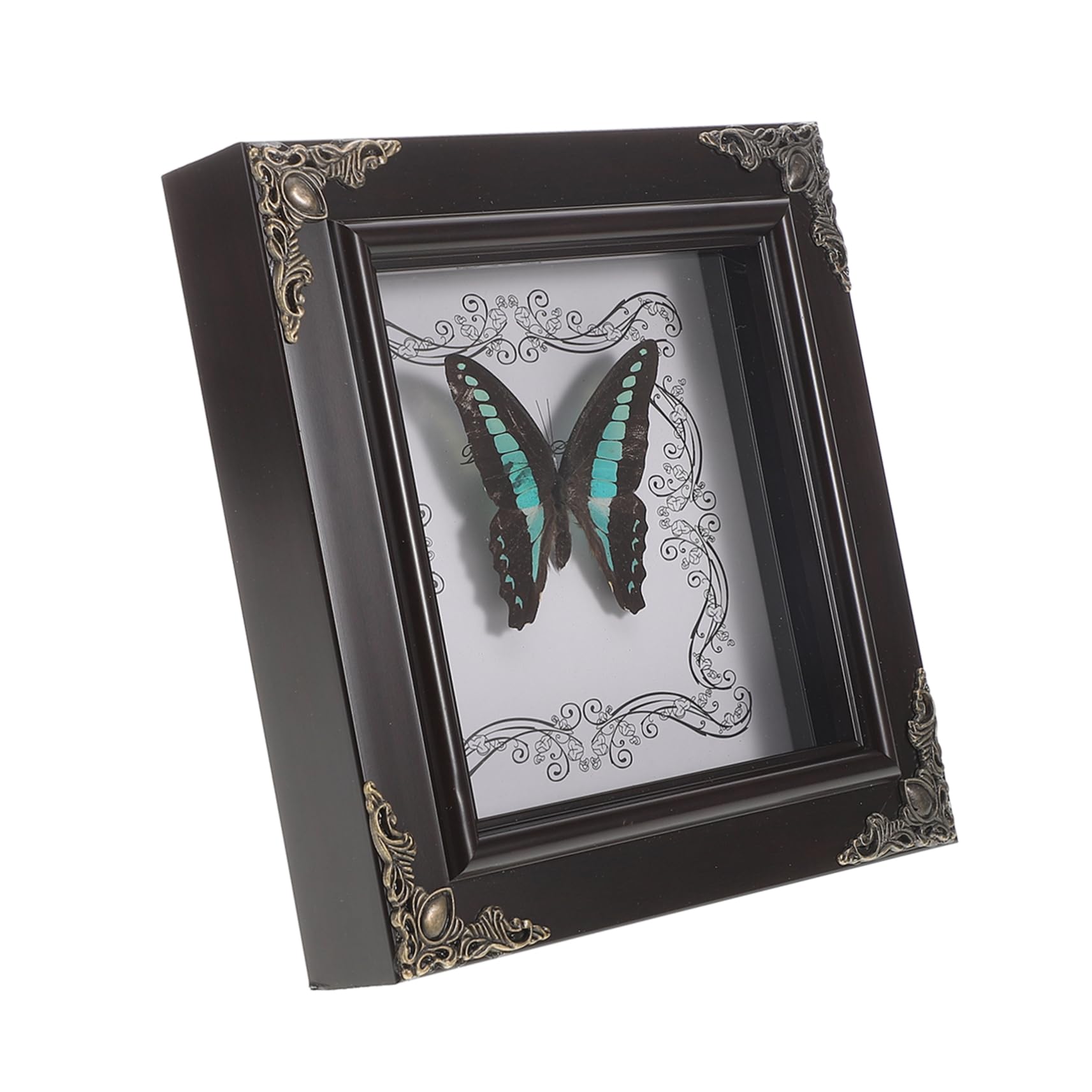 Ejemplares de reales enmarcados Mipcase regalo original de decoración