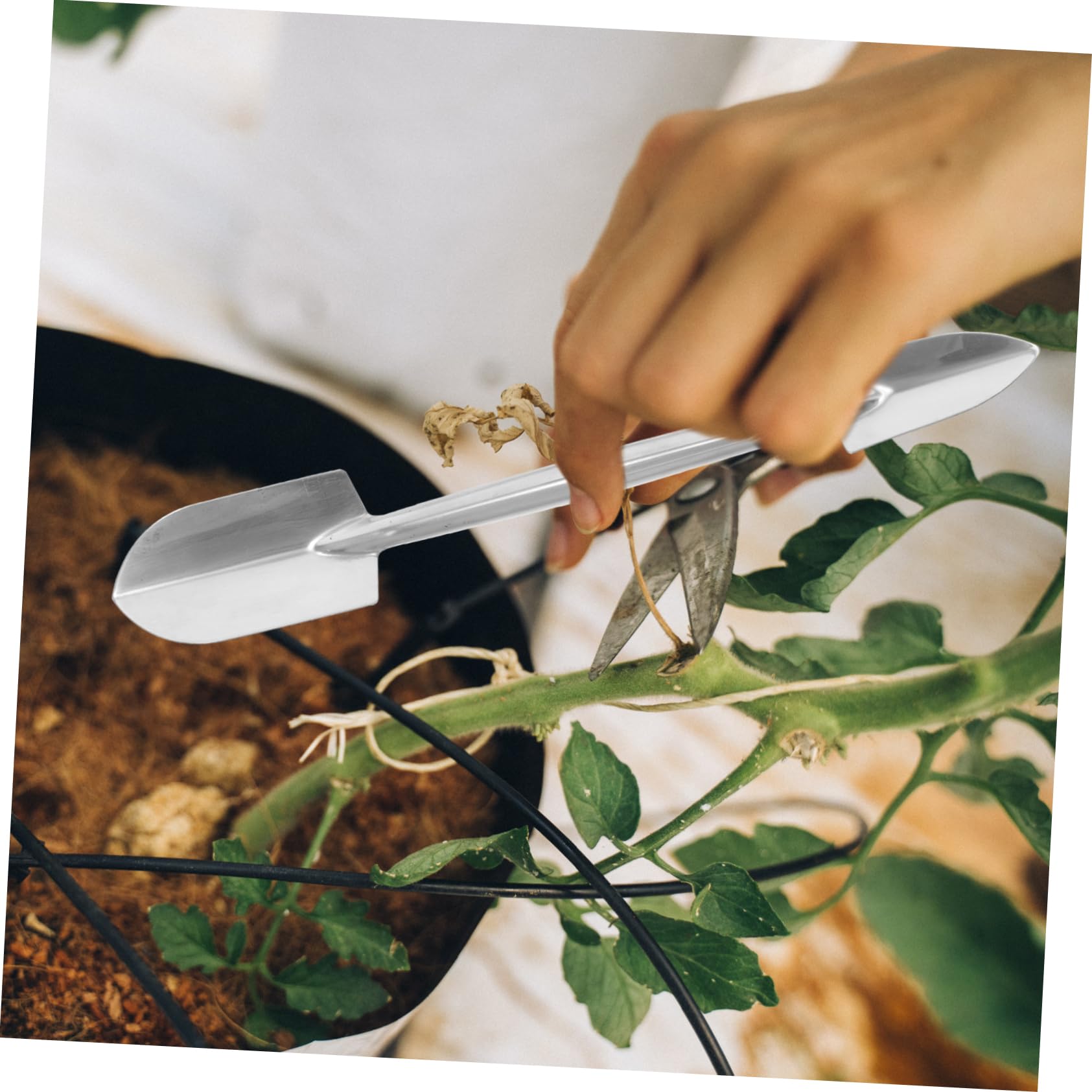 Toyvian 3sätze Präzisionswerkzeugset Für Bonsai -zangen Rake Und Doppelseitiger Für Pflanzenpflege Und Terraristik Für Garten Und Innenbereich