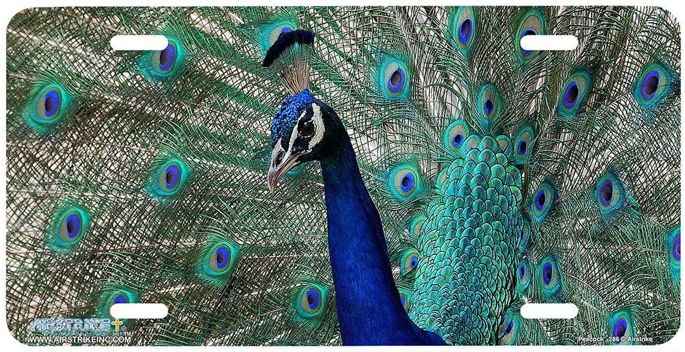 Airstrike 286"Peacock Peacock License Plates Automotive