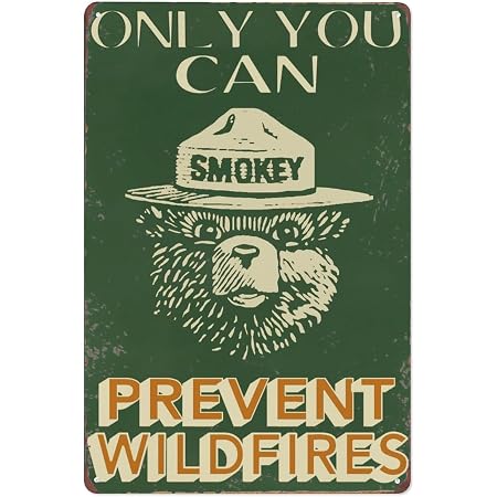 Amazon.com: Smokey Bear Only You Can Prevent Wildfires Sign Metal Tin