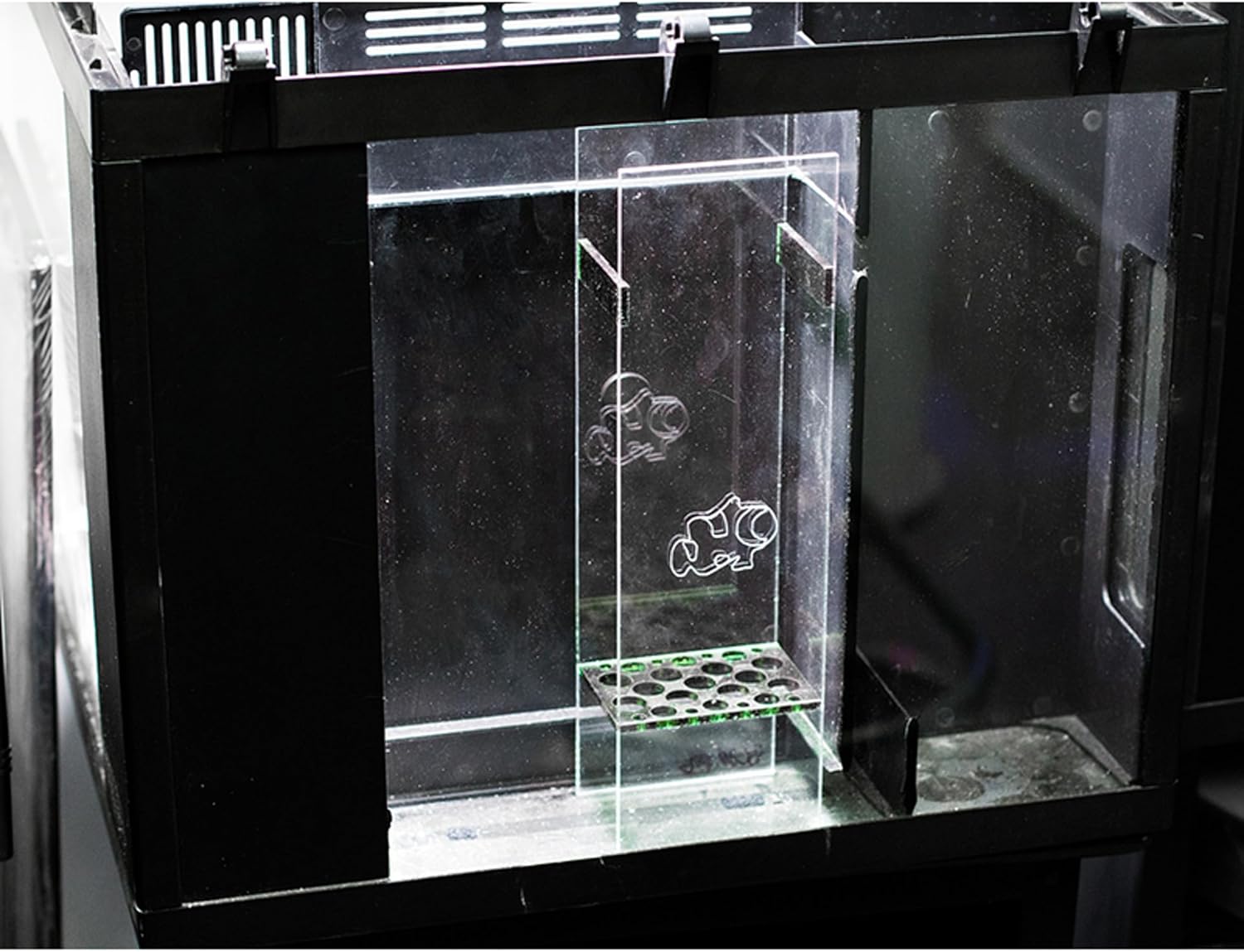 Fuge Basket for Oceanic Biocube 29 and Coralife Biocube 29 Aquariums
