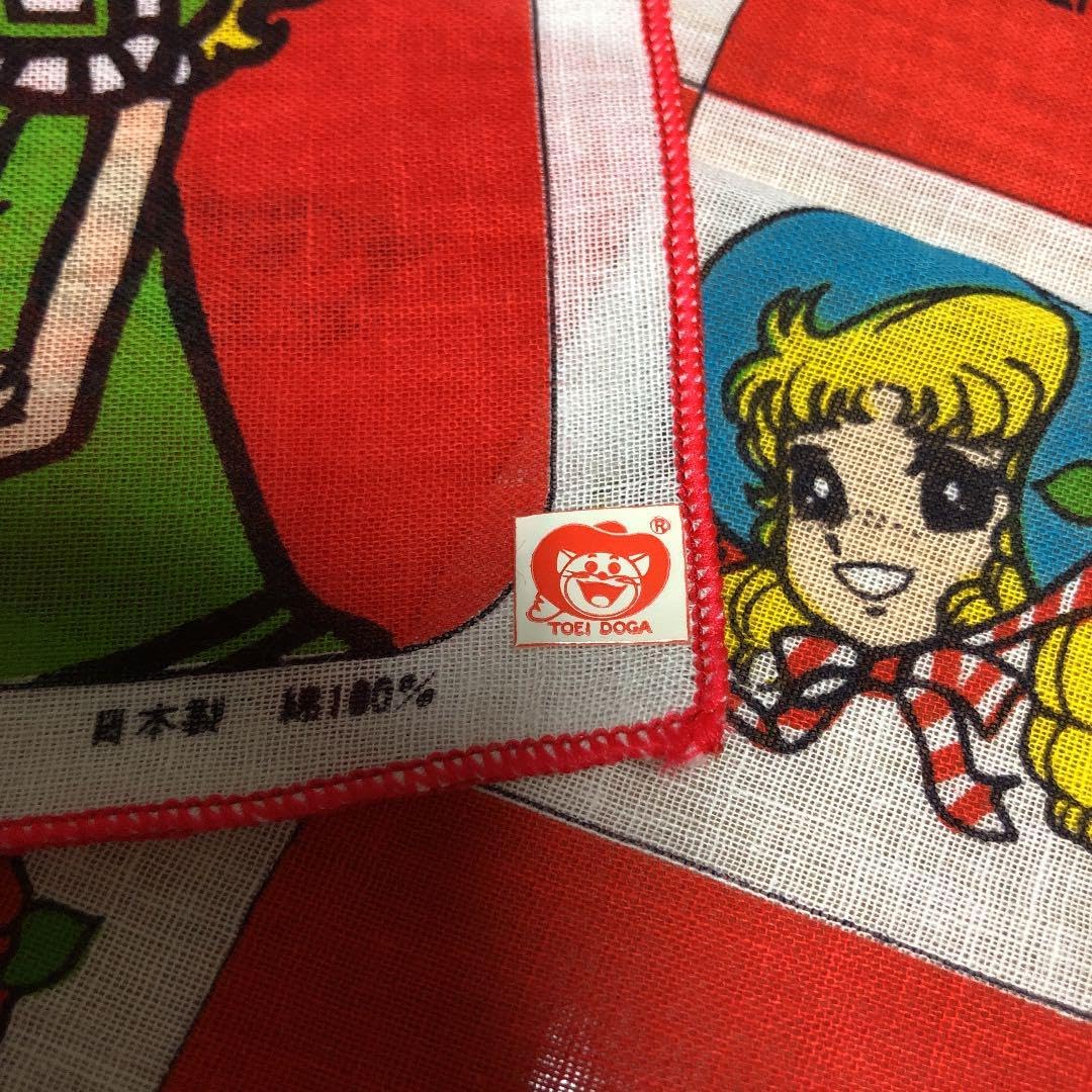 近沢レース タオルハンカチ 5枚set レース ハンカチ 7枚セット Hi*Na