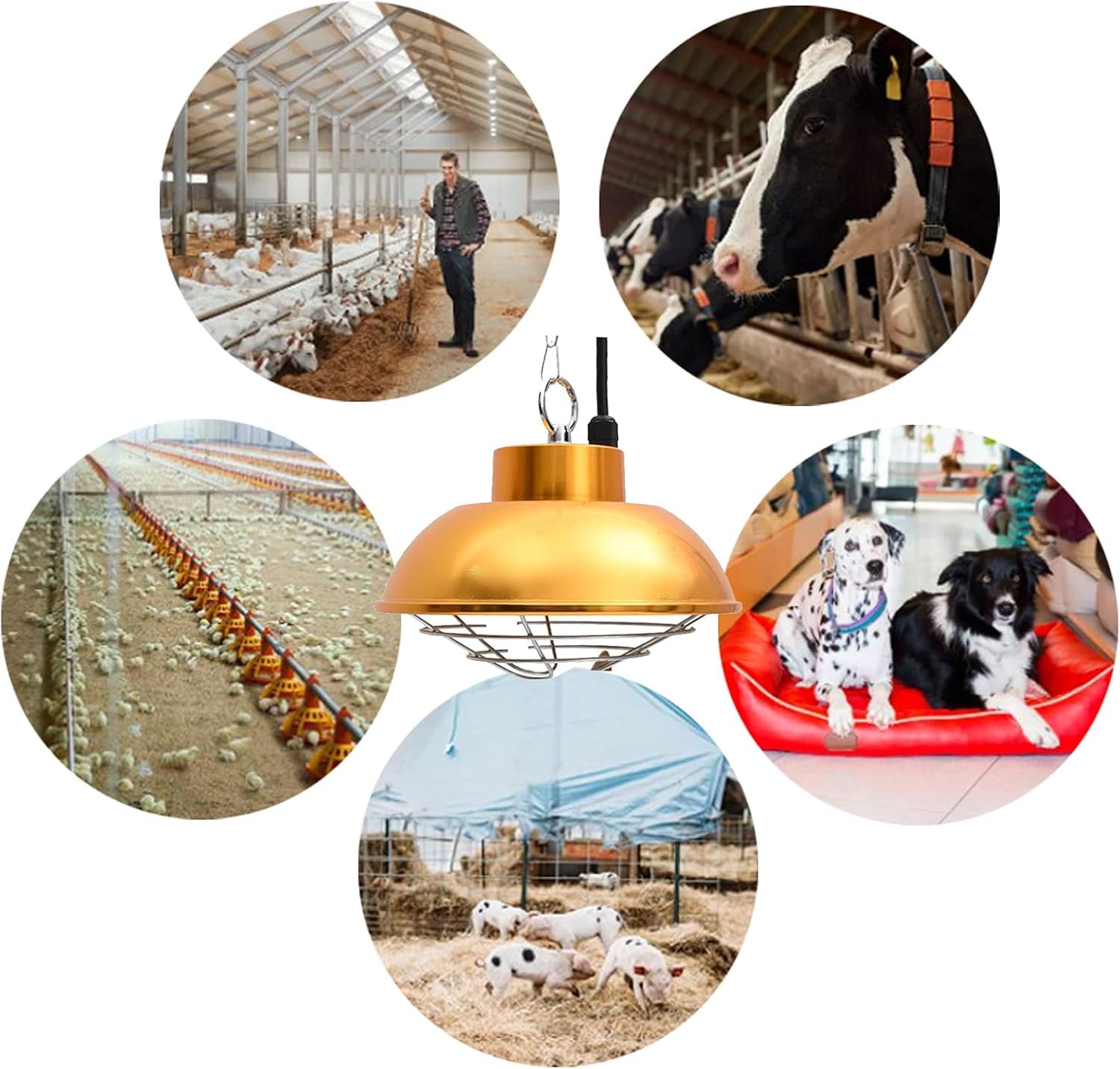 Juego De Lámparas De Calor para Pollitos, Lámpara De Calor Infrarroja para Aves De Corral, para Cachorros Y Gatitos, Incubadora con Tubo Halógeno Y Cadena, Ideal para Cachorros, 20×13cm