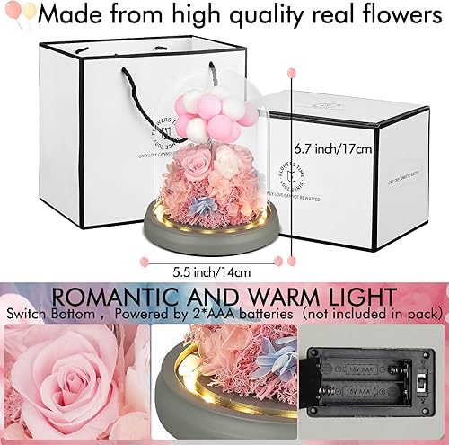 Miniatura 3 de Rosa 100% real en cúpula de cristal, flores preservadas con luz LED, flor eterna con decoración de globos de arcilla, para cumpleaños, aniversario,