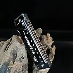 Gaita 10 furos chave de C, 20 tons diatônico blues boca órgão - ideal para iniciantes, inclui capa protetora - preto