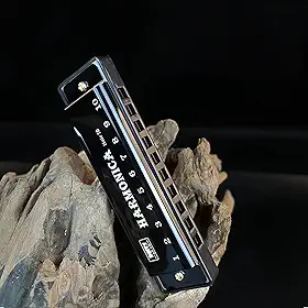 Gaita 10 furos chave de C, 20 tons diatônico blues boca órgão - ideal para iniciantes, inclui capa protetora - preto