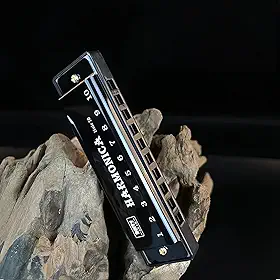 Gaita 10 furos chave de C, 20 tons diatônico blues boca órgão - ideal para iniciantes, inclui capa protetora - preto