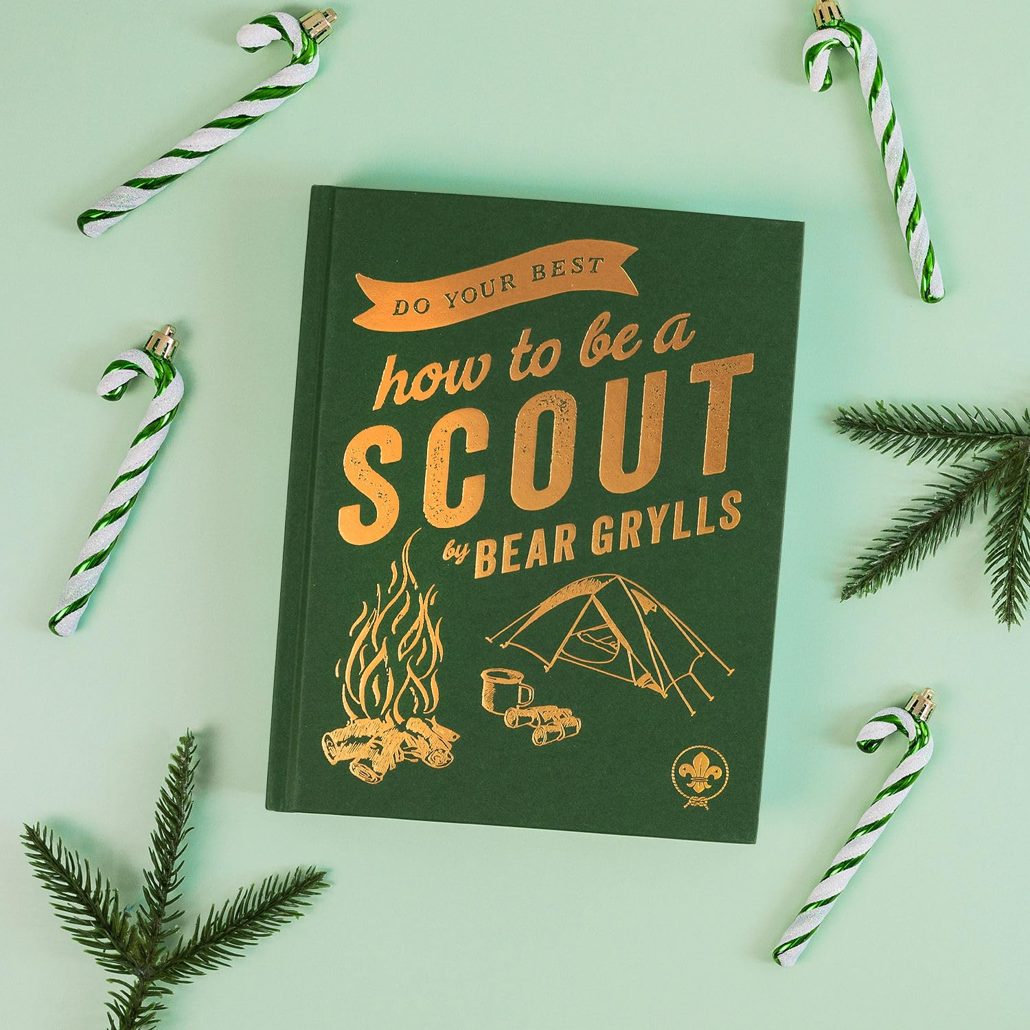 DO YOUR BEST: How to be a Scout 1