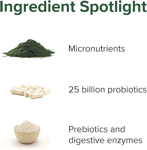 Miniatura 4 de Vibrant Health Green Vibrance - Paquetes de superalimentos veganos en polvo apto para viajes 15 paquetes