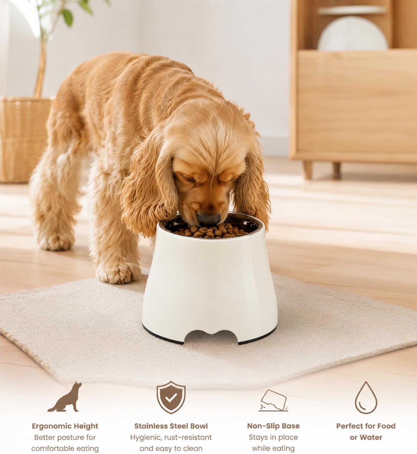 Elevated Single Dog Bowl with Stainless Steel Bowl, Orthopedic Neck Protection Non-Slip Pet Food & Water Bowl for Small Medium Dogs, Cone Friendly, Senior Spaniel Long-Eared Dogs (White, Size M)