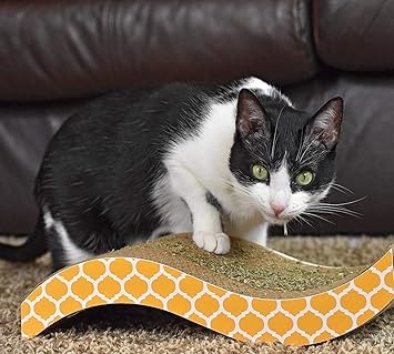 THE DDS STORE Style Scratcher with Catnip