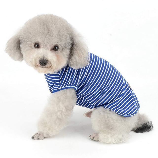 Foto 2 de 7 de SMALLLEE_LUCKY_STORE Ropa para Mascotas