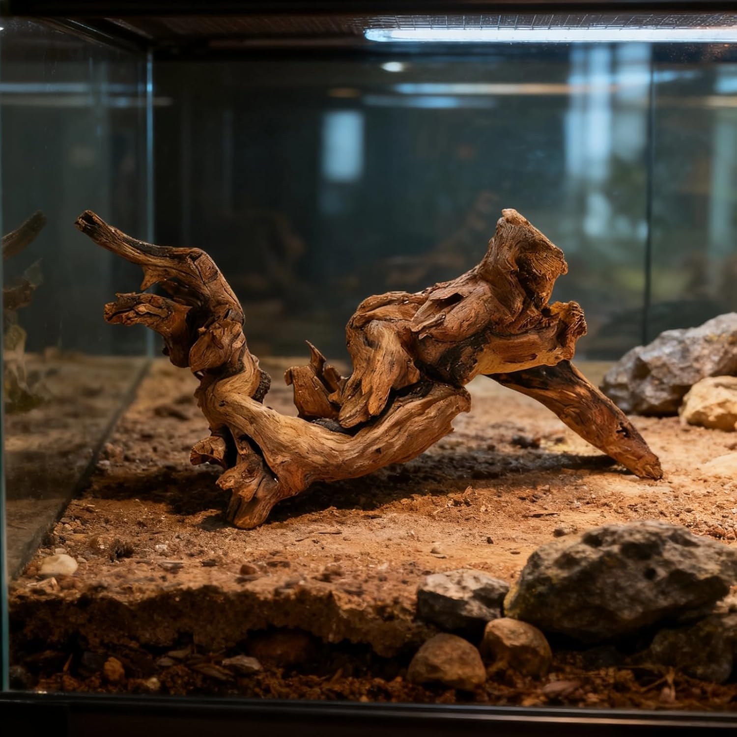 Aquarium Driftwood Natural, 3 Pcs Set, 7.9-9.8 in / 20-25 Cm Assorted Azalea Root Wood Shapes, Freshwater Aquarium Safe, Reptile Terrariums