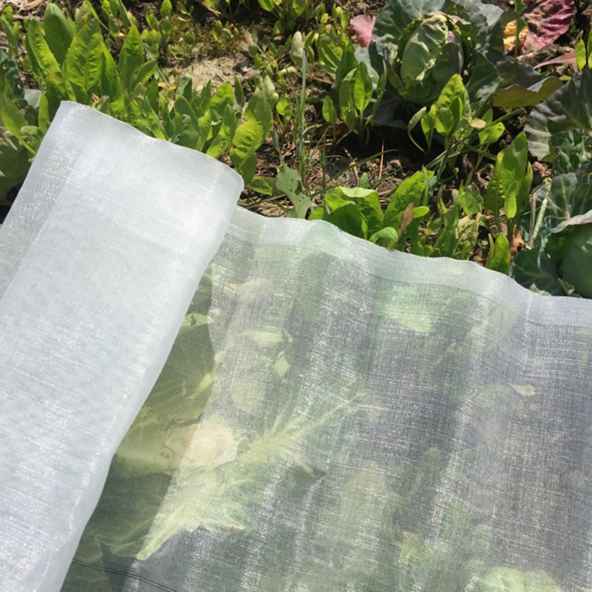Rete in Nylon per Giardino 1 Rotolo Maglia 40 Mesh Rete Separazione Protezione da Insetti per Ortaggi e Prodotti Agricoli Resistente al Gelo per Serra e Giorni Freddi