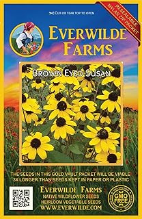Everwilde Farms - 2000 Brown-Eyed Susan Native Wildflower Seeds - Gold Vault Jumbo Seed Packet