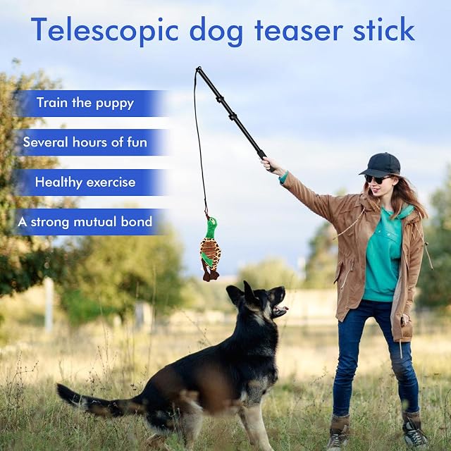 Foto 7 de 7 de Irritante para perros, profesional para perros pequeños, longitud ajustable con cuerda de repuesto, antiestrés