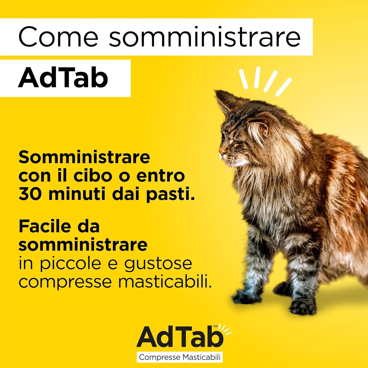 AdTab Compresse Masticabili per Gatti >2,0-8,0 kg - 6 Compresse