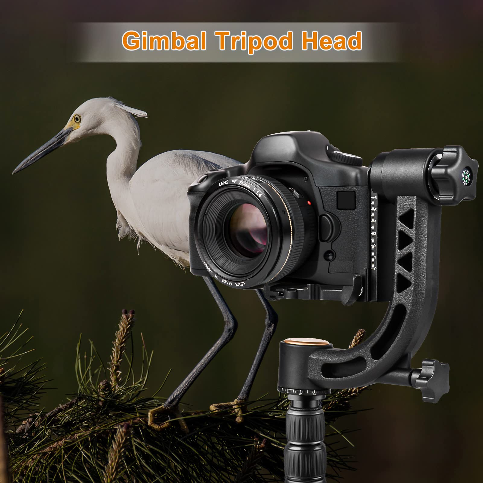 Andoer Testa per treppiede panoramica, Heavy Duty a 360°, in lega di alluminio, con vite da 1/4", piastra a sgancio rapido, per fotocamere DSLR, portata 15 kg