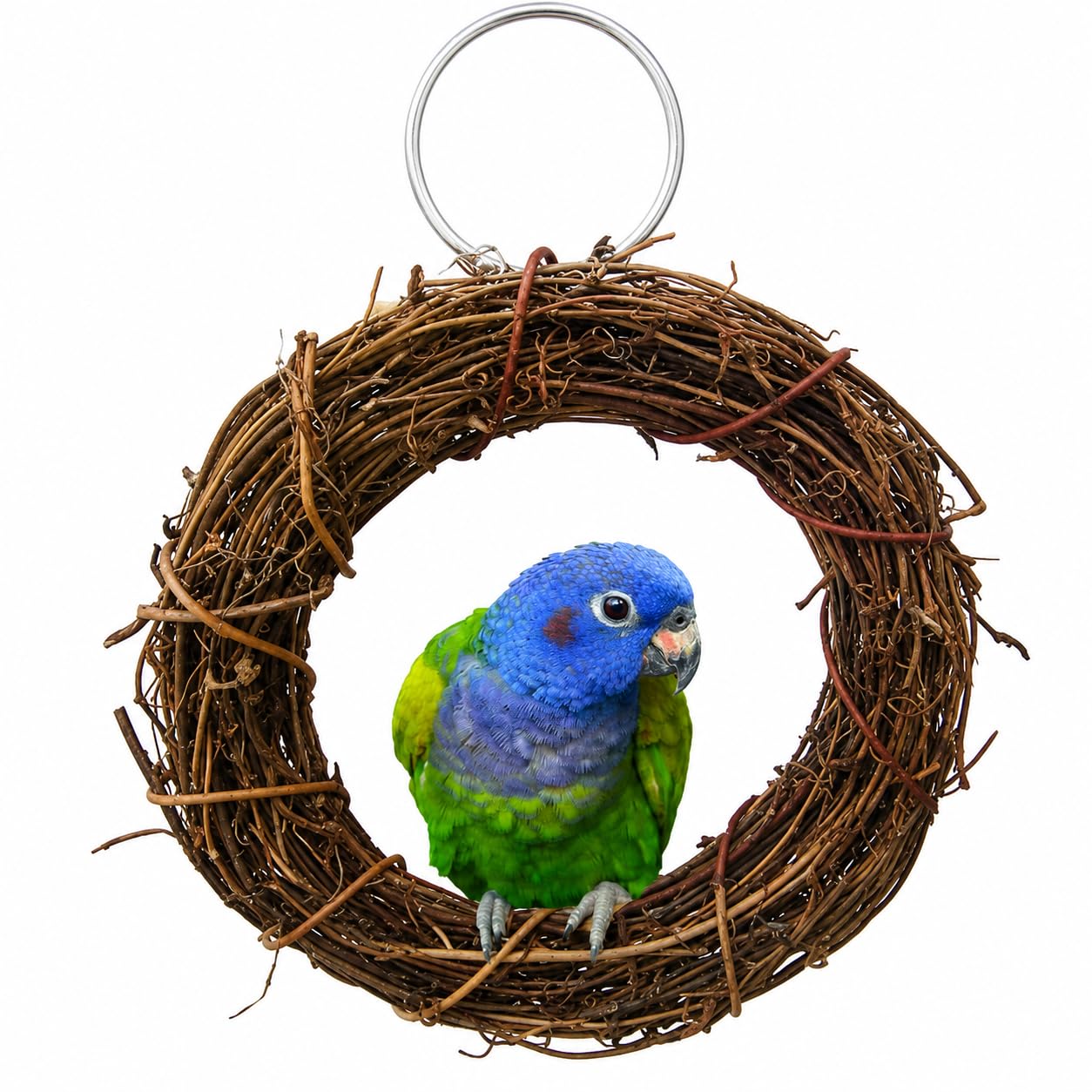 Uteruik Rattan Hoop Bird Chew Toy, 15 Cm Hanging Swing Perch For Budgies, Cockatiels, Small Conures, Lovebirds, Finches And Canaries