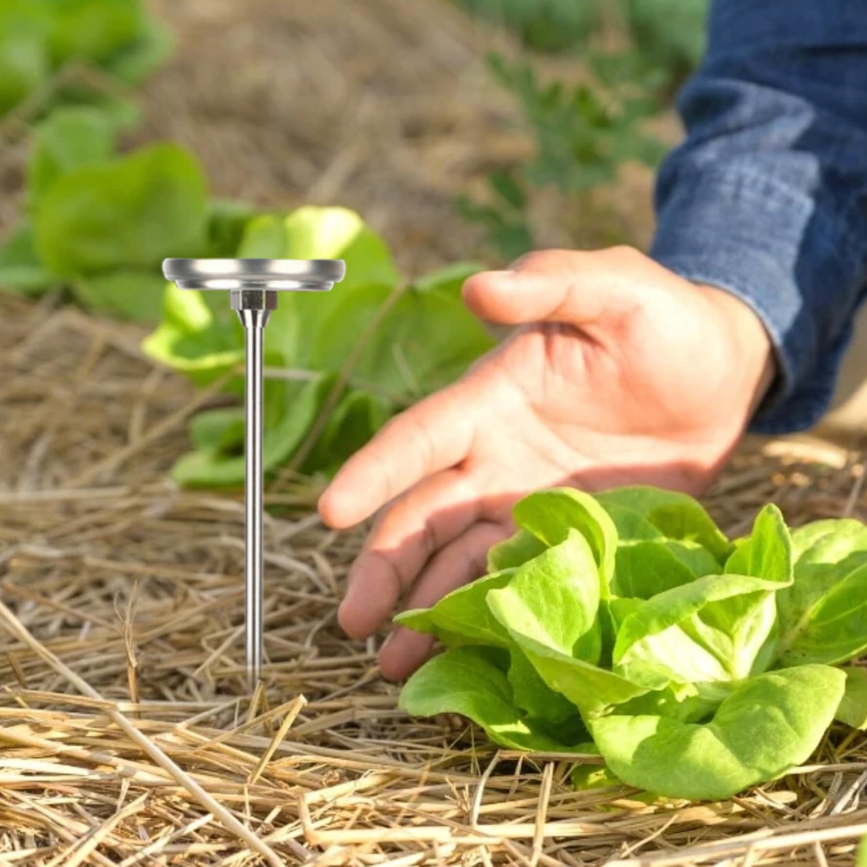 Termometro per compost, Termometro per terreno portatile in acciaio inossidabile con quadrante da 2 pollici con stelo da 20 pollici per terreno, compost, giardino, decorazione della pelosa