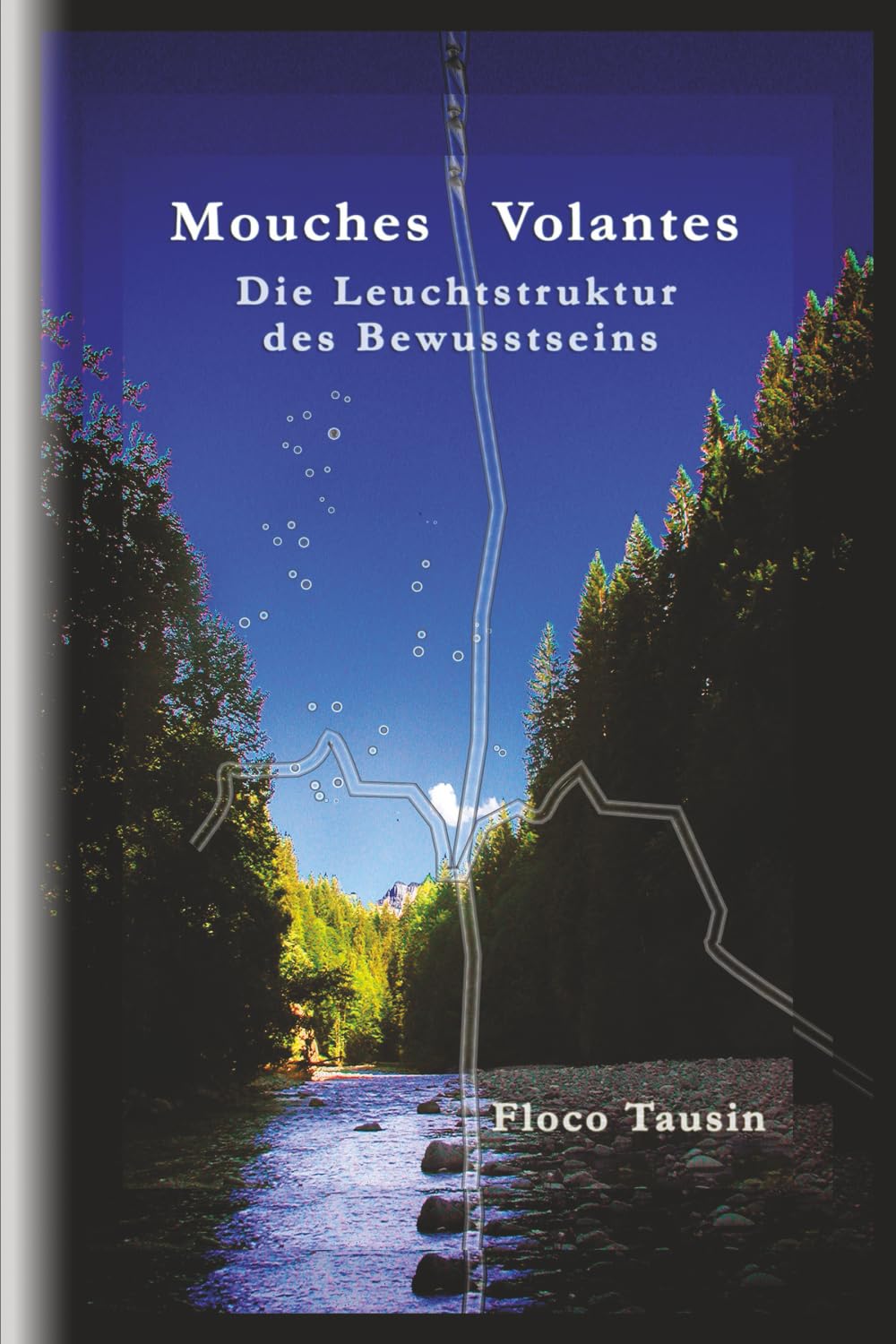 Mouches Volantes: Die Leuchtstruktur des Bewusstseins