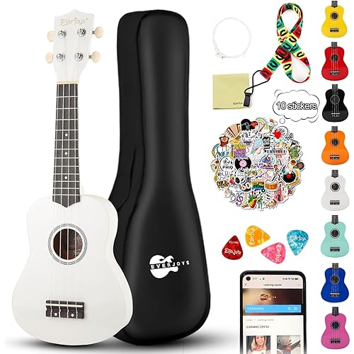 Soprano Ukulele Beginner Kit for Adult w/Free Online Lesson 21 Inch Ukelele Gig Bag Strap String Tuner Pick Polishing Cloth, Rainbow Series Ukalalee