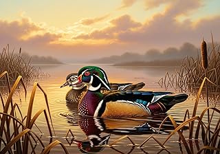 Wood Ducks at Sunrise – Realistic Wildlife Art on Calm Wetland Water – Poster Art Canvas Printing Living Room Office Bedroom Aesthetic Poster (Unframe-style, 16x24inch(40x60cm))