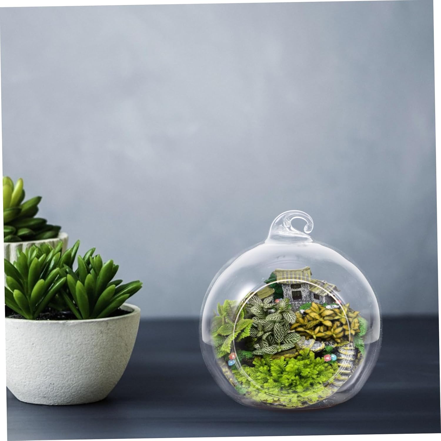 UPKOCH 12pcs Glass Globe Terrarium Set for Indoor Plants Modern Hanging Planter with Air Plant and Succulents Minimalist Design for Home Decor