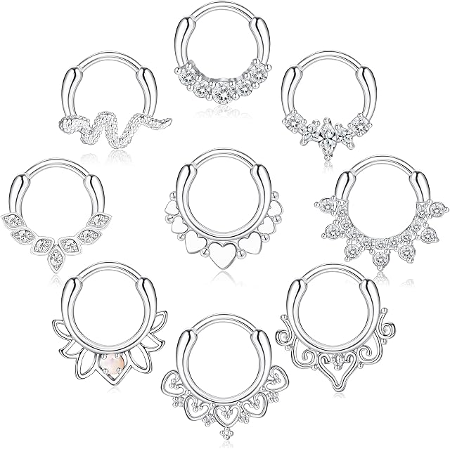 Kakonia 9Pcs Septum Jewelry 16G Daith Earrings Hinged Hoop Nose Rings 316L Stainless Steel Septum Clicker CZ Rings for Women Cartilage Helix Tragus Rook Hoop Daith Earrings 8MM