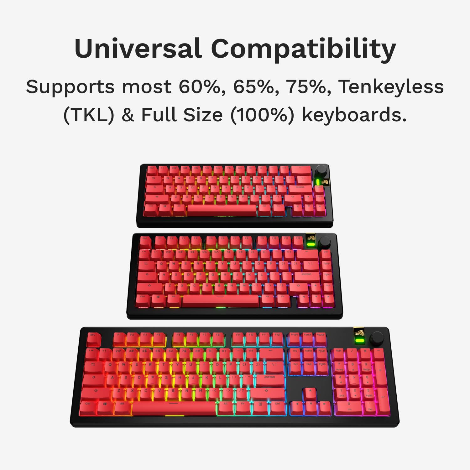 【新着商品】Glorious GPBT Basics Keycaps Reviv Amazon.com: Glorious Gaming - GPBT Basics (PBT Keycaps), Revive