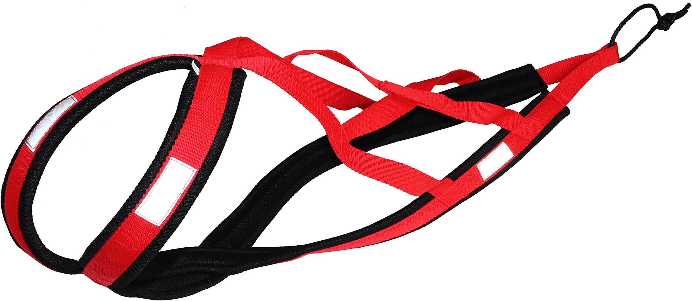 X-Back Dog Harness for Bikejoring, Skijoring, Dogscooting, Sledging, in Red