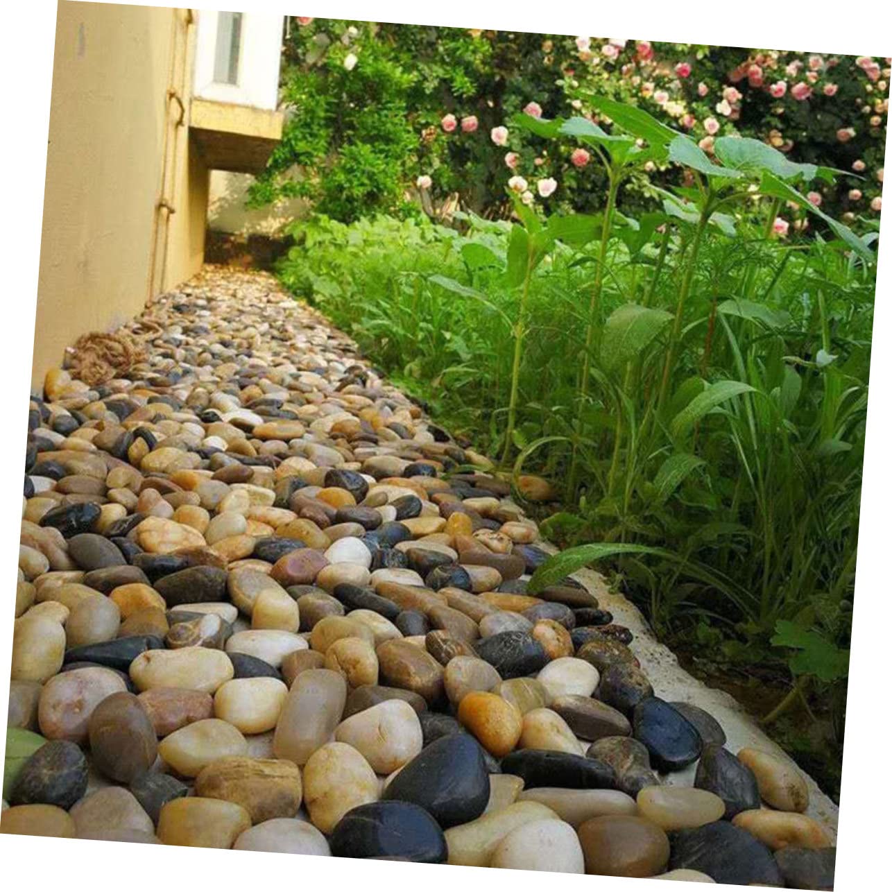 GALPADA Natural River Pebbles for Fish Tanks and Plant Pots of Decorative Stones for Aquarium Garden and Crafting Moisture Retaining and Easy Drainage