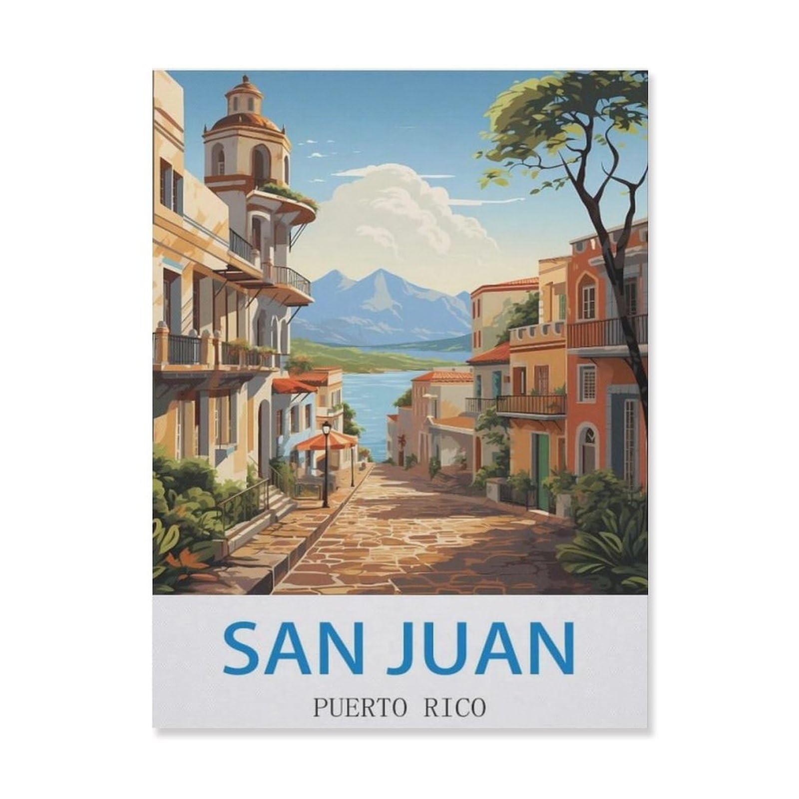Metal Signs，San Juan Puerto Rico(30x40cm）
