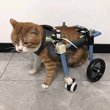 Adjustable Cat Dog Wheelchair 4 Wheels can Become 2 Wheel, Xs to XXL Pet Leg Support Brace for Sprain/Acl Injury/Arthritis, Mobility DevicesBlue,M