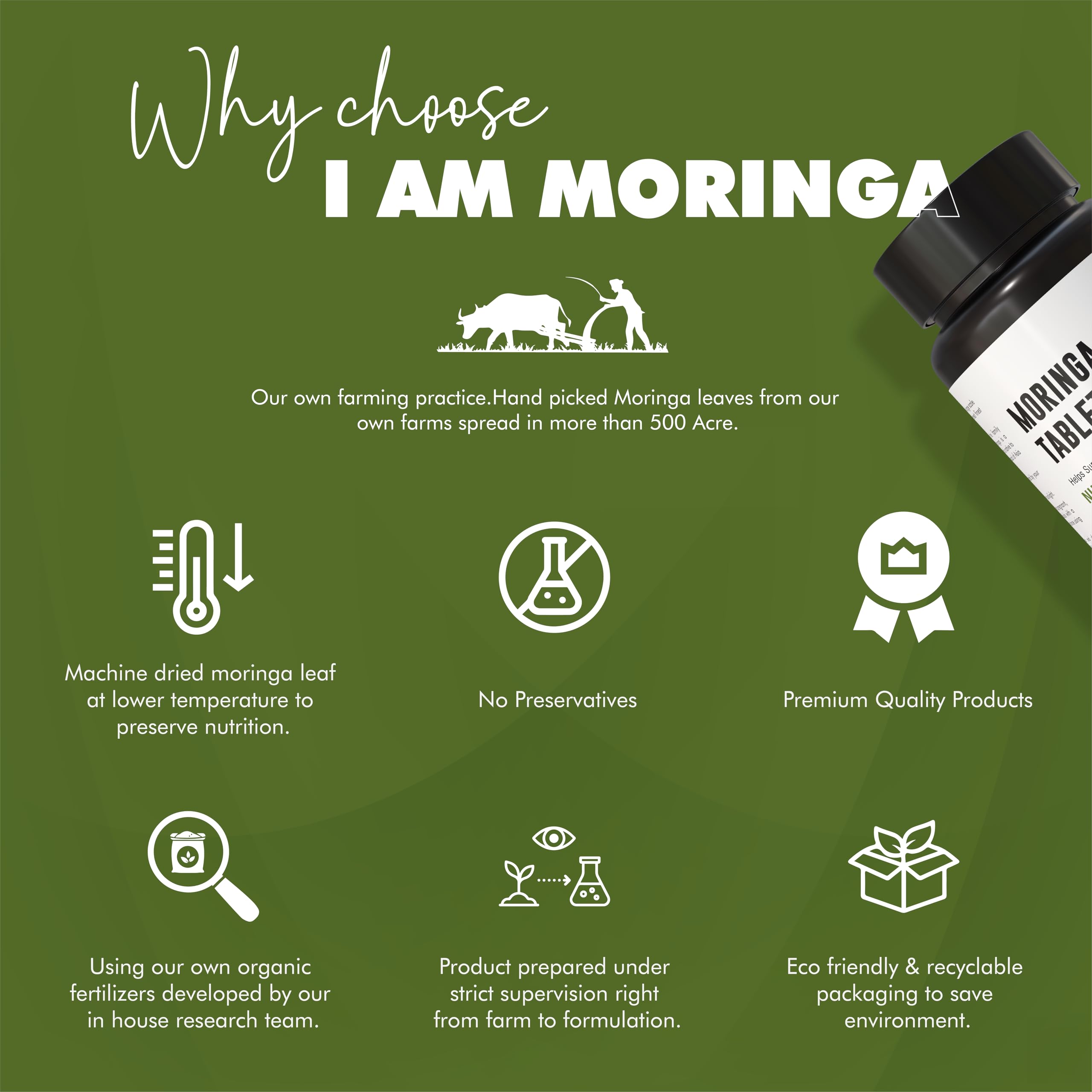 Pure Moringa Tablets 60 Tabs 500 mg, Drumstick Leaves Extract Rich in Nutrients & Antioxidants Non-GMO, Gluten-Free Convenient Superfood Supplement — Amazon image 3
