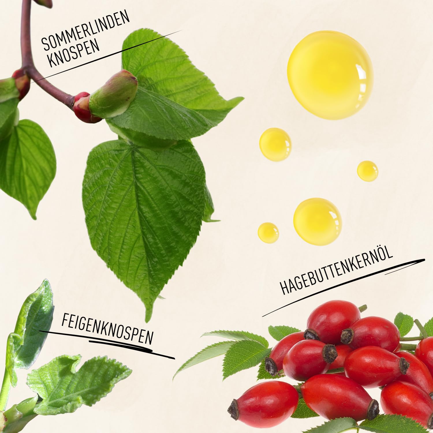 Augenserum mit Hyaluron | Bio Rosenwasser & Knospenextrakte | 30ml | Feuchtigkeitsspendend | Straffend | 100% natürlich & vegan | Naturkosmetik | Made in Switzerland